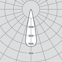   Corner 544.01