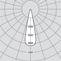   Eye 555.11