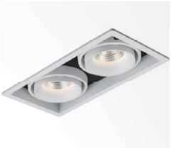 Встраиваемые светильники SDM 700 fashion 2x10W white Встраиваемые светильники SDM 700 fashion 2x10W white